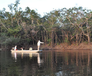 fishing peacock bass